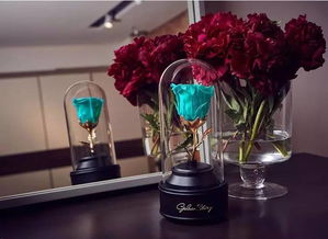 9折優(yōu)惠丨送她一份永不凋謝的英式花禮，讓陪伴再久一點