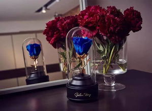 送她一份永不凋謝的英式花禮，讓陪伴更長久