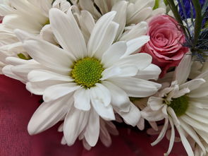 花語傳情 從自然之美到浪漫禮品的花卉銷售藝術